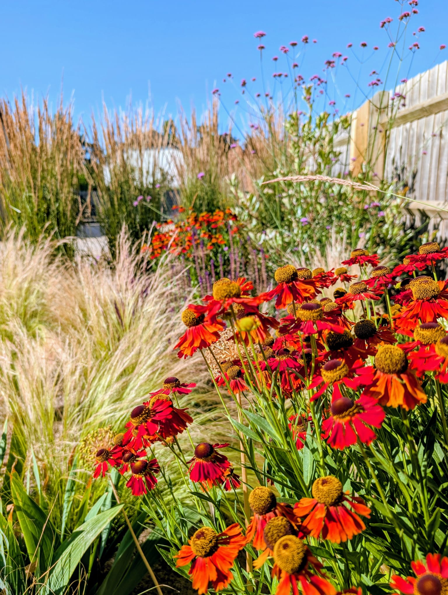 Commercial garden work by Green Seasons
